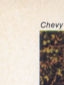 1968 Chevy II Nova SS image section